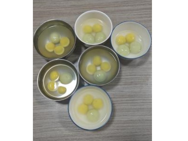 Raikan perayaan tanglung dan nikmati bulan purnama bersama
